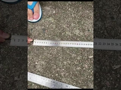 CPRI Bbu Odc-Dlc Cpri Οπτική ίνα Patch Cord Αδιάβροχο με σφραγισμένο κάλυμμα σκόνης