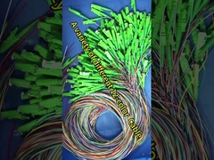 Ακατέργαστος 12 πυρήνων χαλαρός σωλήνας Sc ίνες Pigtail 0,9mm