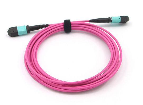 Αγορά MPO MTP Cable 12 Fiber Core OM4 Magenta MPO Trunk Cable για δίκτυα υψηλής ταχύτητας online manufacture