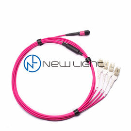 Αγορά Μετάδοση 12 OM4 100G καλώδιο μπαλωμάτων STRAND MTP online manufacture