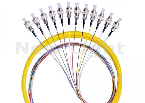 FC UPC 12 Core Single Mode Fiber Optic Pigtail με διάμετρο 0,9 mm για τη μετάδοση δεδομένων